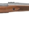 MOSSBERG PATRIOT 350LEG WD/SS 22" TB  #