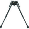 CAL XLA PIVOT BIPD 9-13