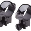 BURRIS HIGH 1" .22 RNGS STEEL BK