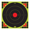 PRO-SHOT TARGET 17" GRN BULLSEYE 5PK