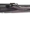 SAVAGE ARMS A17 TARGET 17HMR BL/LAM 22"