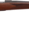 WBY VGD S2 SPRT BA 22-250 24TB