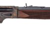 HENRY REPEATING ARMS H10 COLOR CASE 45-70 22"