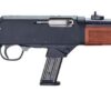 HENRY REPEATING ARMS HOMESTEADER 9MM BL/WD 16" SISW