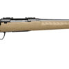 SAVAGE ARMS AXIS 2 CPT 400LEG BL/FDE 20" #