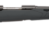 SAVAGE ARMS 110 HUNTER 30-06 BL/SYN      #