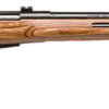 SAVAGE ARMS 25LV 223REM BL/LAM THBHL DBM