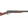 HNERY H3 FRONTIER PUMP 22WMR 18.25"