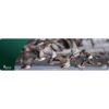 Cerus Gear Magnum XXL 14x48 Wild Ducks Promat Full Color