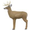 Shooter 3D Targets Big Shooter Buck Decoy