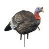Higdon Outdoors Hard Body 1/4 Strut Jake