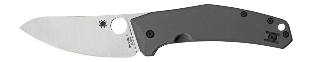 Spyderco C211TIP SpydieChef Salt 3.32" Folding Plain LC200N Blade Satin Titanium Handle Includes Pocket Clip