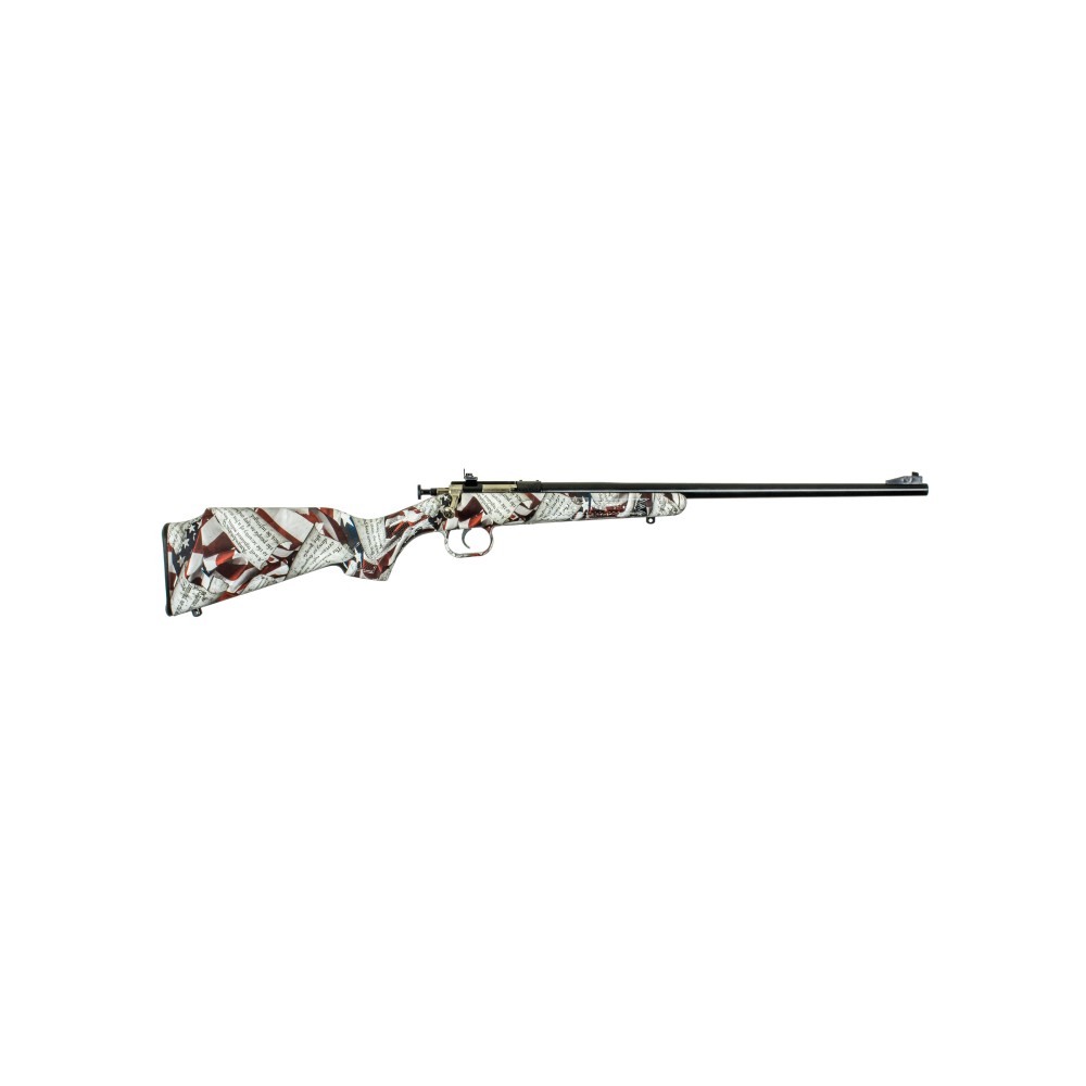 KSA CRICKETT G2 22LR AMNDMNT BL BBL