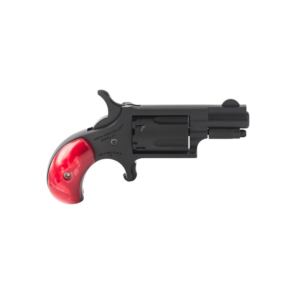 NAA MINI REV ZORRO 22LR W/BUCKLE BK