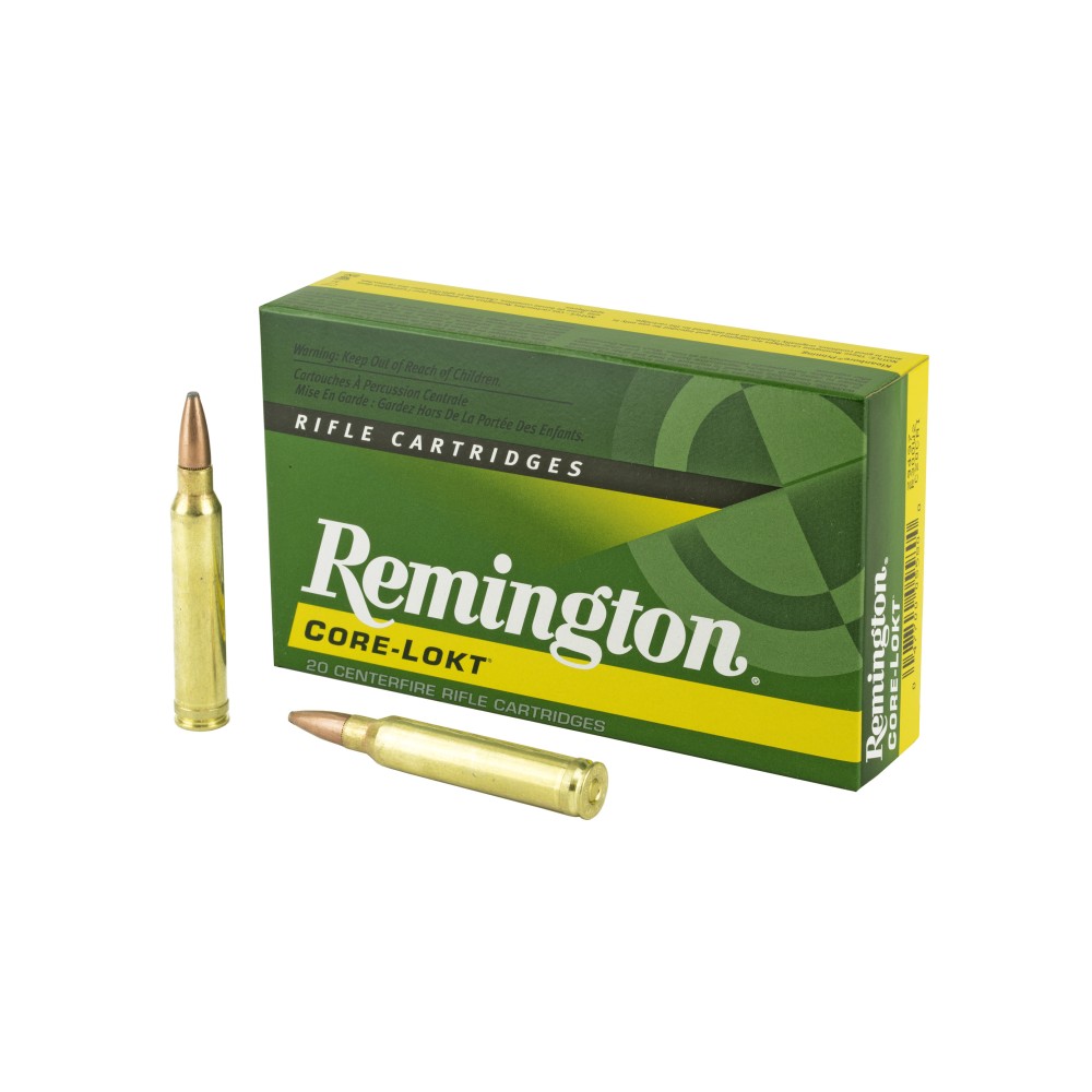 REM 300WIN 180GR PSP CL 20/200