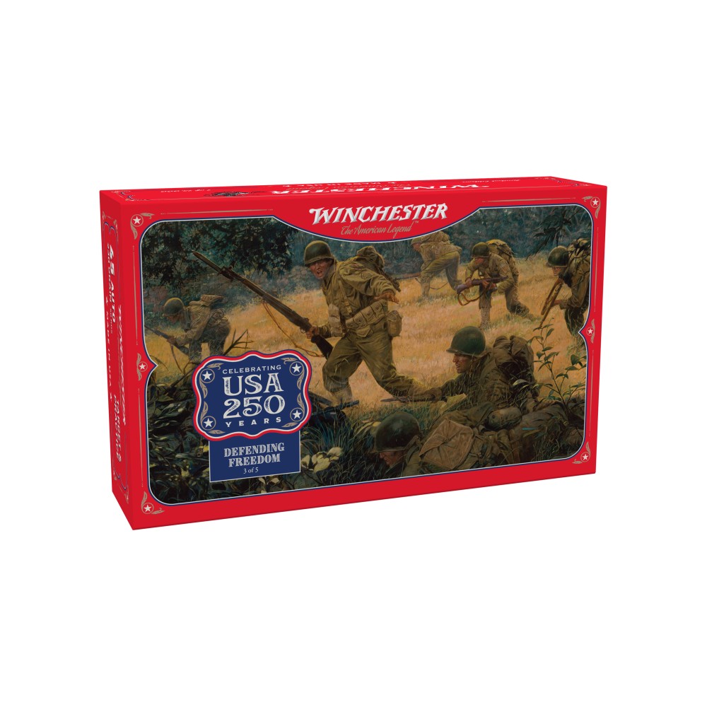 WIN USA 250TH 45ACP 230GR FMJ 50/300