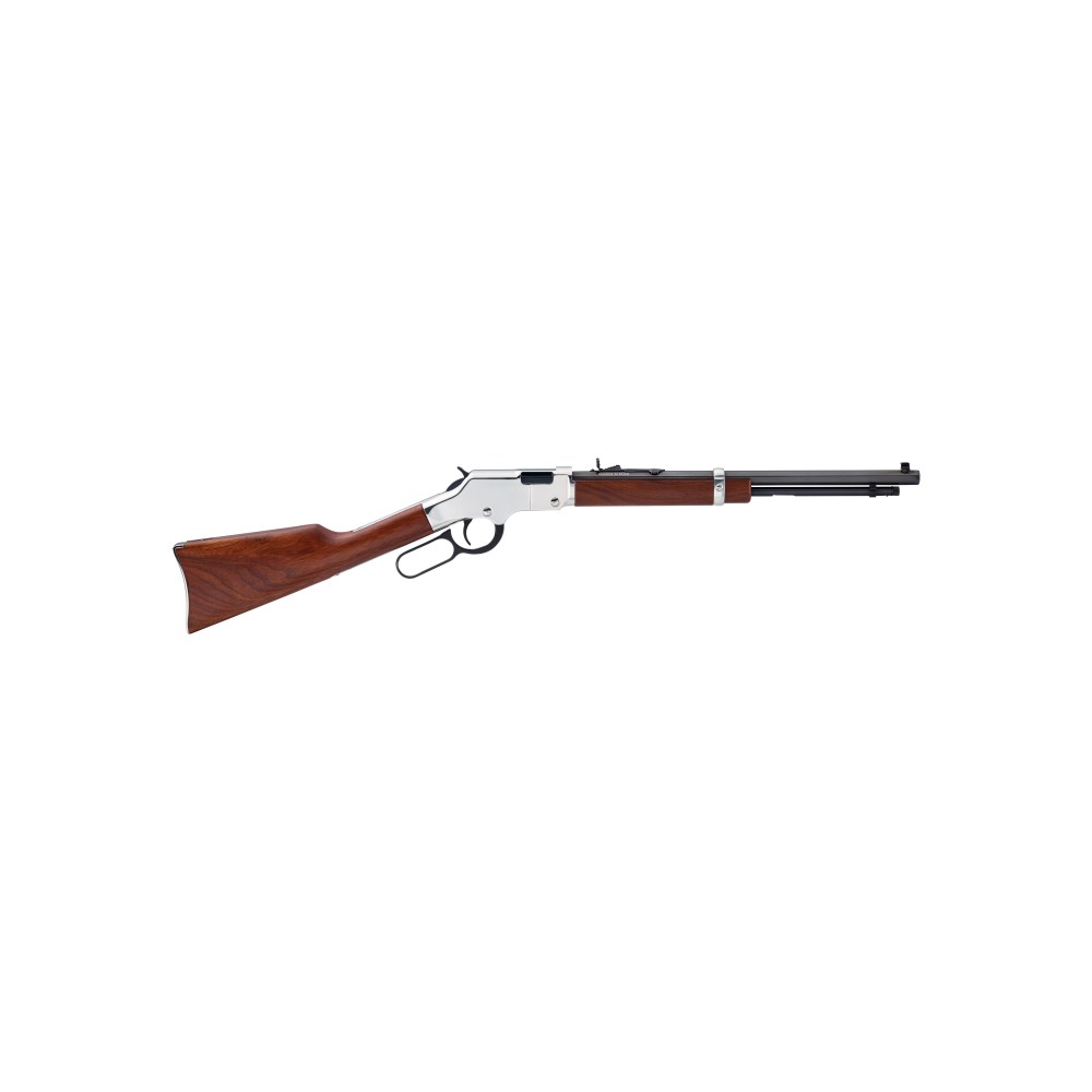 HENRY H4 GLDN BOY SLVR CMPT 22LR